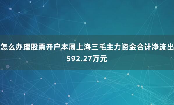 怎么办理股票开户本周上海三毛主力资金合计净流出592.27万元
